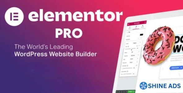 Elementor Pro